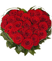 25 red roses,heart-shaped