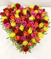 66 multi coloured roses
