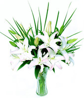 5 White(pink) Lilium with baby's breath