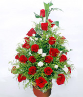 33 Red Roses,Fugui Bamboo, White Carnations