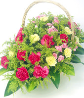 20 Pink Carnations,10 Yellow Carnations