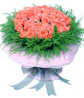 99 Pink roses,green foliages