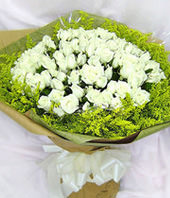 99 White Roses,Canada Huangyin