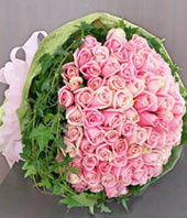 99 Pink Rose