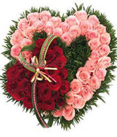 30 red roses, 36 pink roses