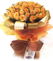 66 champagne roses