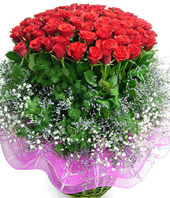 66 red roses