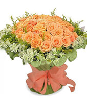 66 champagne roses