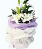 3 white Lilium