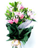 6 Pink Lilies