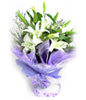 5 white Lilium