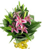3 pink lilies