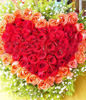 36 red roses and 19 pink roses