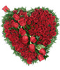 66 red roses,heart-shaped
