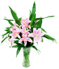 6 Pink lilium,6 FUGUI bamboo