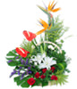 1 White Lily,2 Flamigo Flowers,6 Red roses