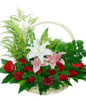 12 Red Roses,White Lily,Pink Lily,Brazil