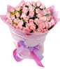 99 Pink roses with rich green foliages