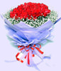 99 Red roses, green foliages