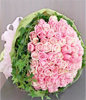99 Pink Rose