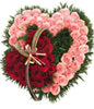 30 red roses, 36 pink roses