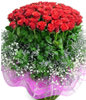 66 red roses