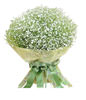 baby's breath packed in perfectly round
