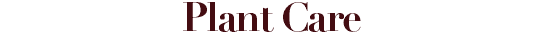 Plant Care