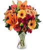 Orange lilies and gerberas