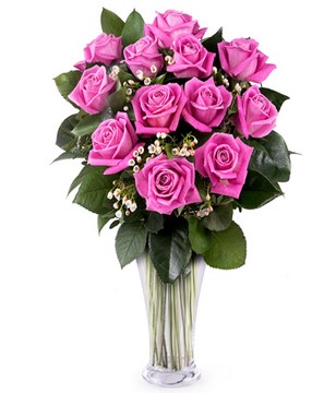 12 pink roses