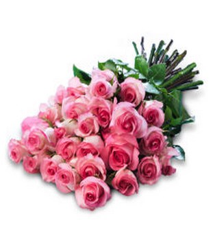 25 pink roses