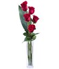Love and Elegance: 5 Red Roses