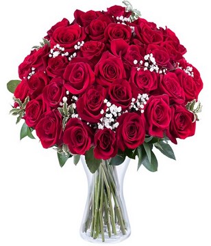 Poetic Love: 35 Roses