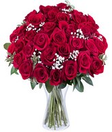 Poetic Love: 35 Roses