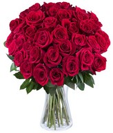 Sighs of Love: 40 Roses