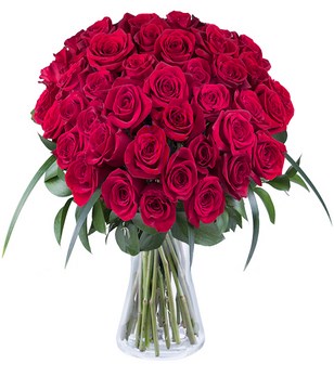 Fragrant Love: 50 Roses