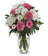 Love Me: bicolor gerberas and chrysanthemums