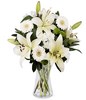 Pure Emotion: white lilies & gerberas