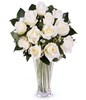 Pure and Innocent Love: 12 white roses