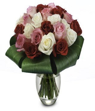 Rose Trio: red, pink and white