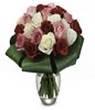 24 Roses:red, pink and white