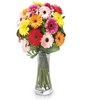 Irreplaceable: multicolored gerberas