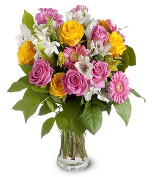 pink and yellow roses