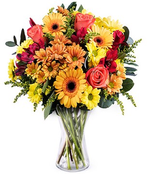 Mango: orange and yellow gerberas