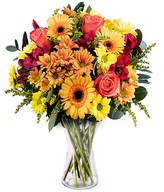 Mango: orange and yellow gerberas