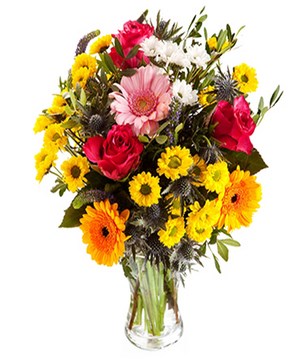 Roses and gerberas