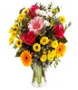 Chorus of Color: roses and gerberas