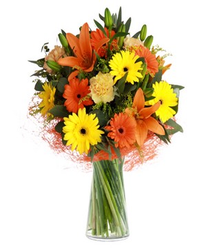 Smile at dawn: Lilies and gerberas