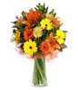 Smile at dawn: Lilies and gerberas