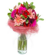 Pink gerberas